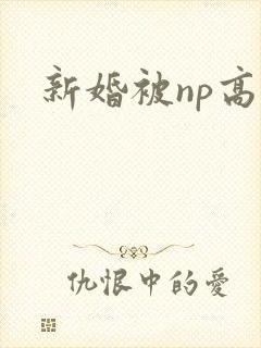 新婚被np高h