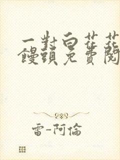 一对白花花的大馒头免费阅读