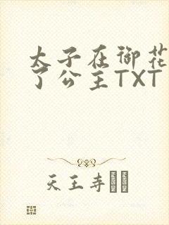 太子在御花园要了公主TXT