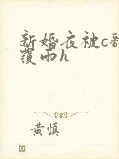 新婚夜被c翻云覆雨h封面