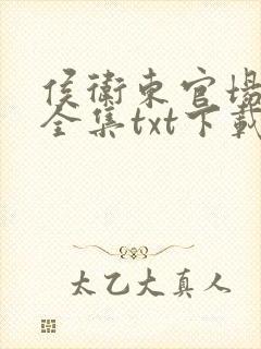 侯卫东官场笔记全集txt下载