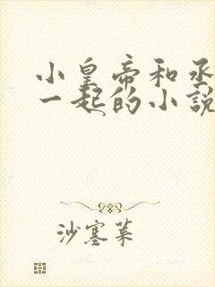 小皇帝和丞相在一起的小说