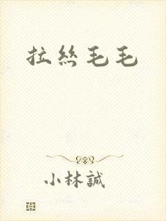 拉丝毛毛