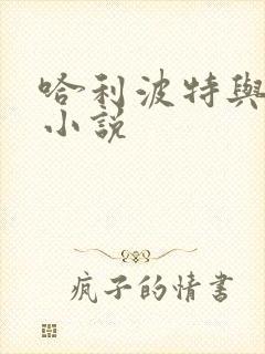 哈利波特与密室小说封面