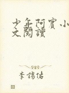 少年阿宾小说全文阅读