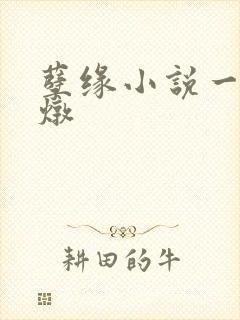 孽缘小说一家乱炖