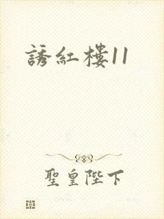 诱红楼11封面