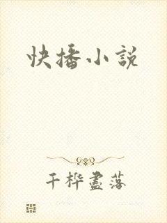 快播小说