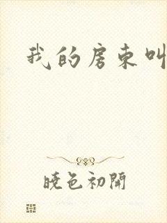 我的房东叫别扭封面