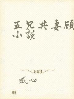 五兄共妻顾心儿小说