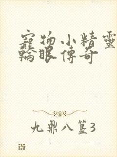 宠物小精灵之写轮眼传奇