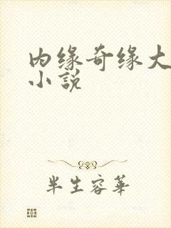 内缘奇缘大团圆小说