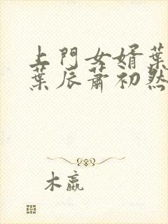 上门女婿叶辰 叶辰萧初然531