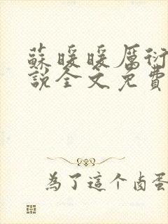 苏暖暖厉衍琛小说全文免费阅读封面