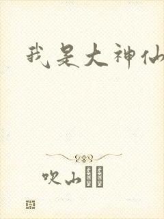 我是大神仙小说