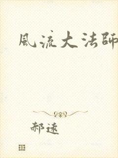 风流大法师封面