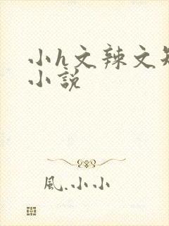 小h文辣文短篇小说