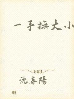 一手抚大小说