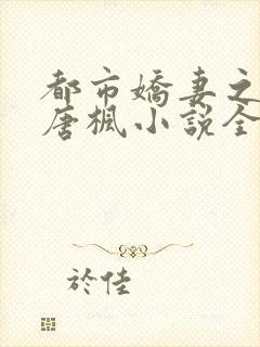 都市娇妻之美女唐枫小说全文阅读