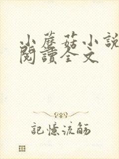 小蘑菇小说免费阅读全文