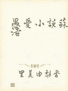 愚爱小说苏倩孙浩