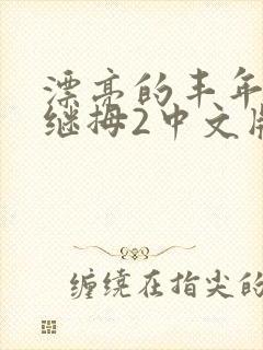 漂亮的丰年经的继拇2中文版封面