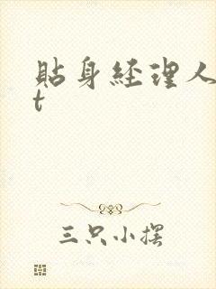 贴身经理人txt封面