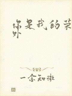 你是我的荣耀番外