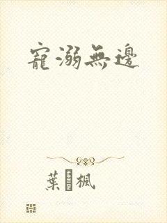 宠溺无边封面
