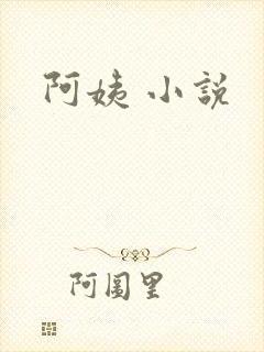 阿姨 小说封面