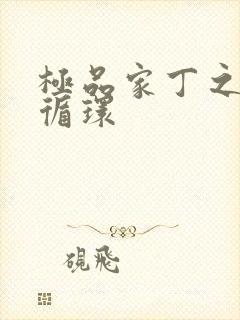 极品家丁之因果循环