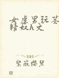 女虐男玩茎榨精精奴h文