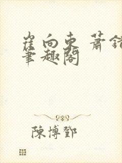 崔向东 萧错 笔趣阁