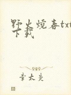 野火烧春txt下载