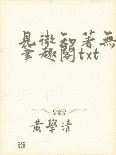 见微知著无删减笔趣阁txt