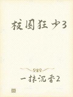 校园狂少3封面