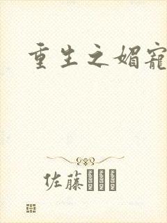 重生之媚宠系统