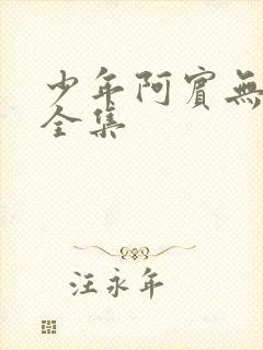 少年阿宾无删减全集