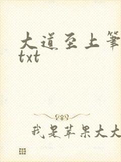 大道至上笔趣阁txt