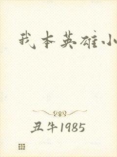我本英雄小说封面