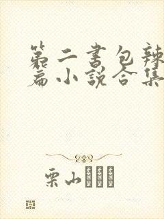 第二书包辣网短篇小说合集封面