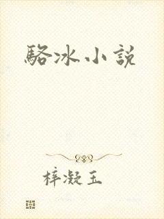 骆冰小说