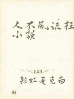 人不风流枉少年小说