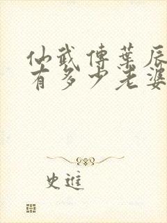 仙武传叶辰一共有多少老婆