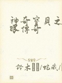 神奇宝贝之写轮眼传奇封面