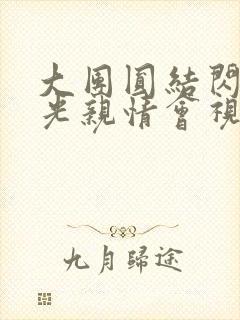 大团圆结闪闪发光亲情会视频