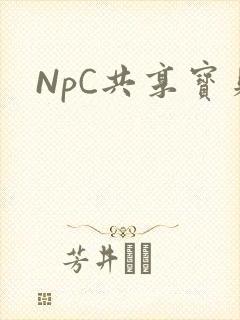 NpC共享宝贝封面