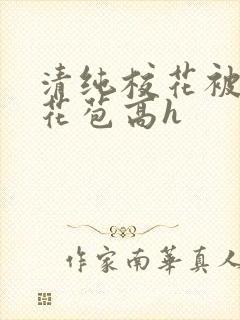 清纯校花被迫开花苞高h封面