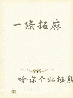 一条拓麻封面