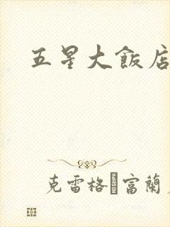 五星大饭店小说